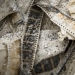 Old movie reels. Photo: Sved Oliver © Mostphotos